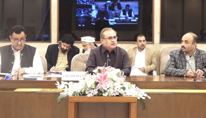 Chairman Standing Committee on Communications presides over a meeting at Parliament House on December 2, 2024. — Screengrab via Faceboook@NationalAssemblyOfPakistan