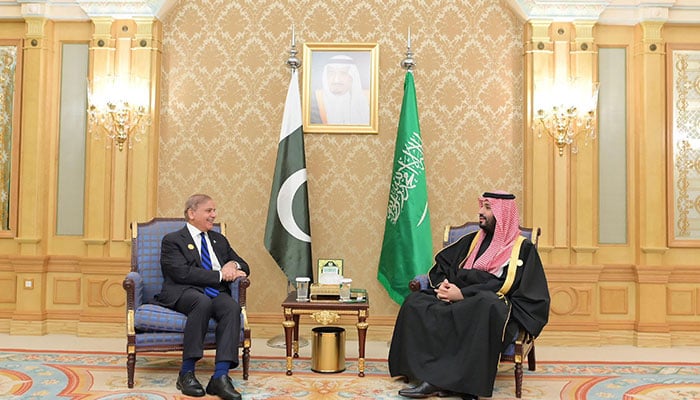 Prime Minister Muhammad Shehbaz Sharif (left) meets the Crown Prince and Prime Minister of Saudi Arabia Mohammed bin Salman Al Saud on the sidelines of One-Water Summit in Riyadh on December 3, 2024.— PID