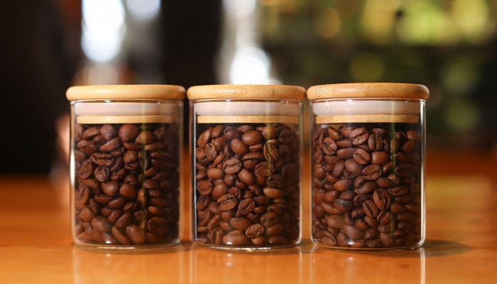 Roasted coffee beans are seen in a lab at Lechuza Coffee Farm in Juayua, El Salvador on November 29, 2024. — Reuters