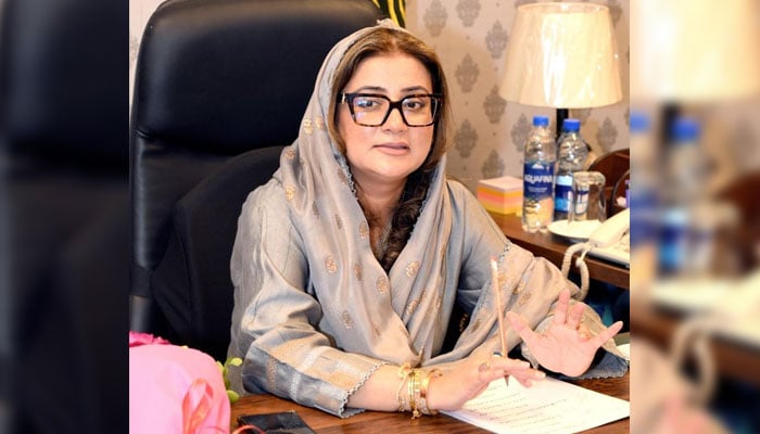 Punjab Information Minister Azma Bokhari gestures as she speaks in a meeting image released on November 18, 2024. — Facebook@AzmaBokhariPMLN/