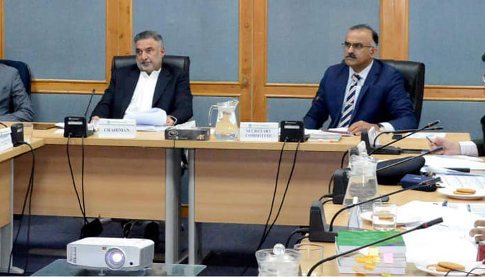 Chairman of Senate Standing Committee on Railways Senator Jam Saifullah Khan (left) presides over a meeting on December 9, 2024. — Facebook@Pakistansenate