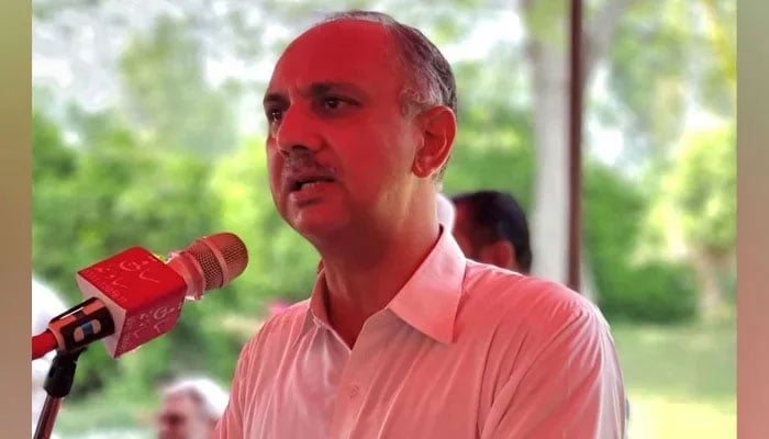 PTI leader Omar Ayub Khan speaks during a gathering on May 6, 2023. — Facebook@OmarAyubKhan