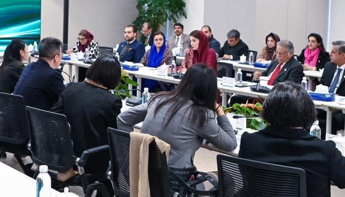 Punjab Chief Minister Maryam Nawaz Sharif in a meeting with Chinese businessmen in Shanghai on Wednesday December 11, 2024. — Facebook@TheMaryamNSharif