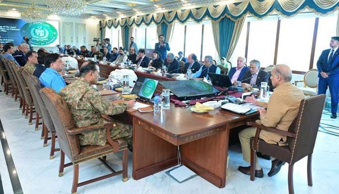 Prime Minister Shehbaz Sharif chairs a meeting of Central Apex Committee. — PMO/File