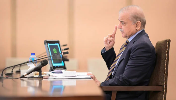 Prime Minister Shehbaz Sharif speaks during a cabinet meeting in Islamabad on August 2, 2024. — APP