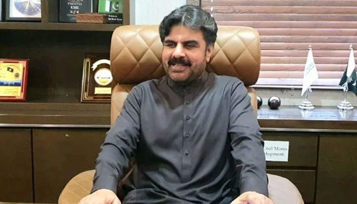 Sindh Energy Minister Syed Nasir Hussain Shah gestures during a meeting on March 19, 2024. — Facebook@SyedNasirHussainShah