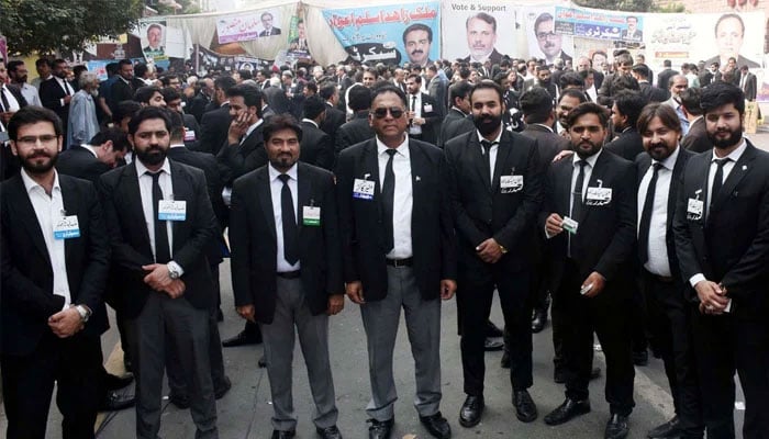 A representational image of lawyers gather for cast their votes on occasion of Annual Election of Supreme Court Bar Association 2024-25, held at Supreme Court Registry Building in Lahore on Tuesday, October 29, 2024. — PPI