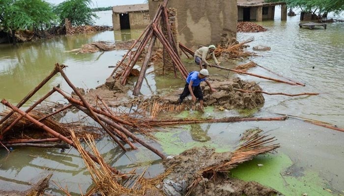 People retrieve bamboos from a damaged house following rains and floods during the monsoon season in Dera Allah Yar, district Jafferabad, Balochistan, Pakistan August 25, 2022. — Reuters