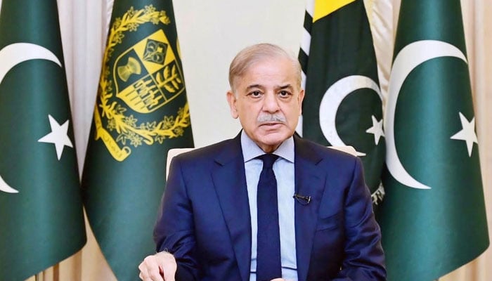 Prime Minister Muhammad Shehbaz Sharif addresses a special Azad Jammu and Kashmir Legislative Assembly session via video link on August 6, 2024. — APP