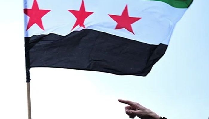 Syrian new flag flattering. — Reuters/File