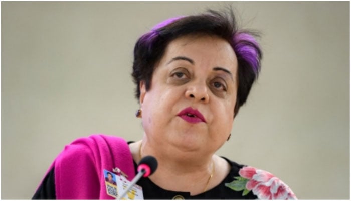 Former human rights minister Shireen Mazari. — AFP/File