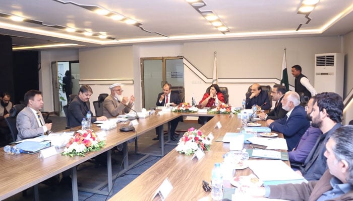 NAVTTC chairperson Gulmina Bilal Ahmad (centre) presides over the NAVTTC Bo­ard meeting on December 17, 2024. — Facebook@NAVTTCOfficial