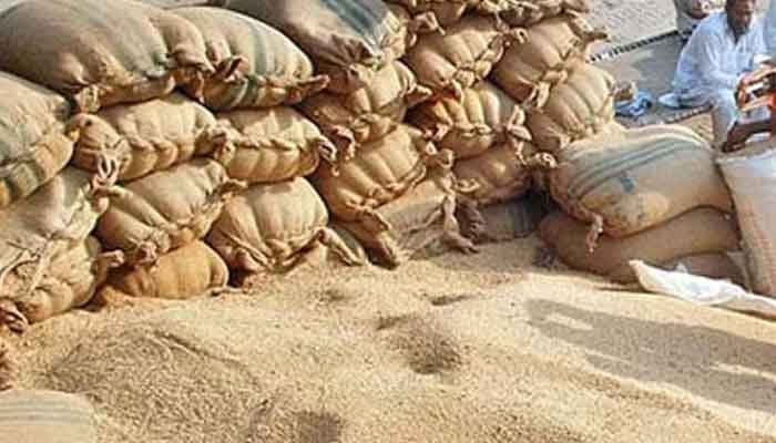 Sacks of wheat are seen stacked at a storehouse. — APP/File