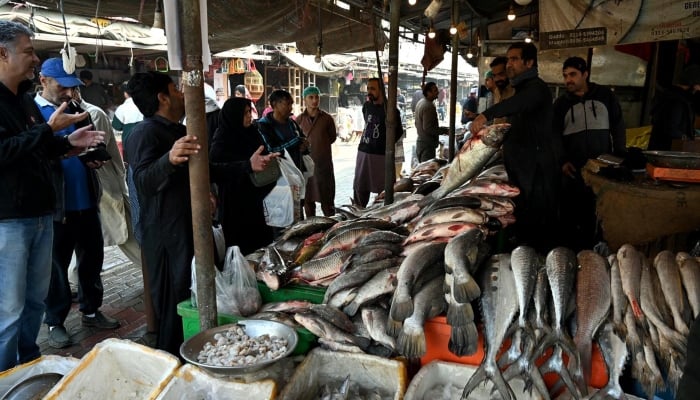 People buy fish at the G-9 weekly bazaar in the federal capital as demand rises despite high white meat prices during winter on December 17, 2024. —APP