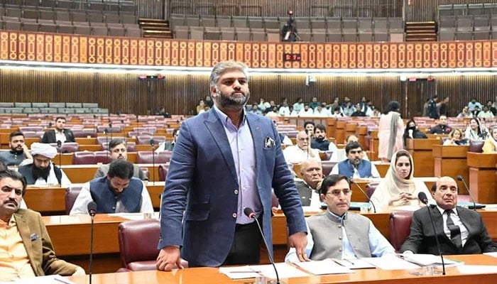 PTI MNA Zain Qureshi during a National Assembly session in this undated photo. — Facebook/@ZainQureshiOfficial/File