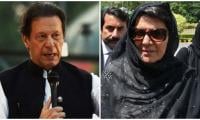 Imran wants remittances withheld from today: Aleema