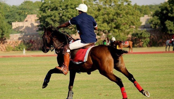 This Representational image shows a man participate in a horse race. — APP/File