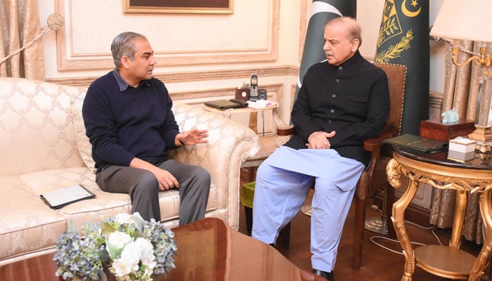 Federal Minister for Interior Syed Mohsin Raza Naqvi (left) calls on Prime Minister Muhammad Shehbaz Sharif on 22 December 2024. — PID