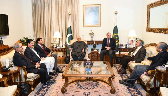 Prime Minister Muhammad Shehbaz Sharif meets President Asif Ali Zardari at Aiwan-e-Sadr on December 23, 2024.— PID