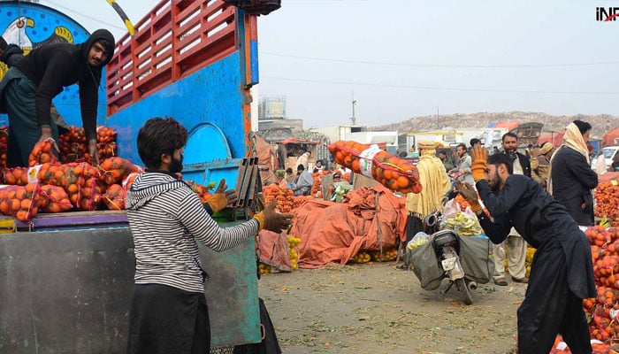 Worker busy in loading oranges sack on delivery truck at Fruit and Vegetables market.— INP/File