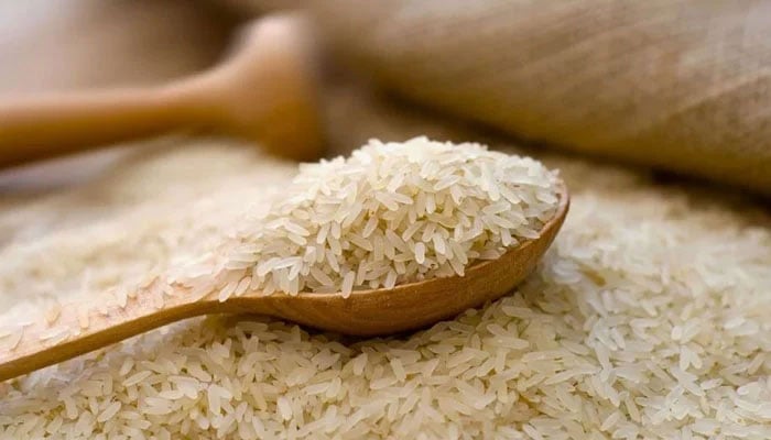 Representational image of rice. — APP File