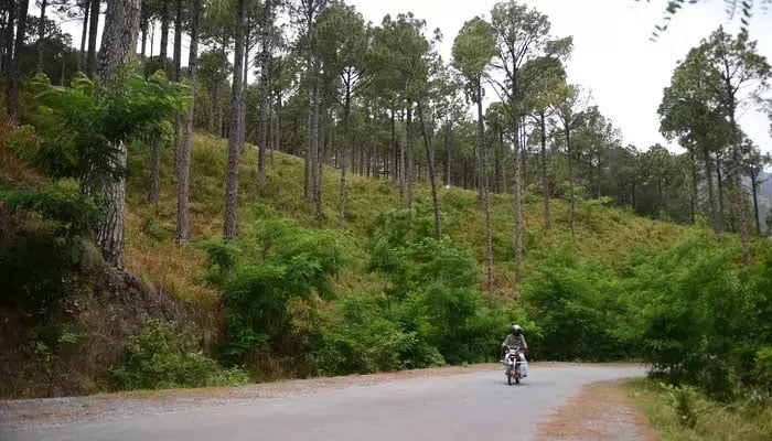 A representational image of a motorist riding his bike on a road through a green hilly area in Buner. — AFP/File