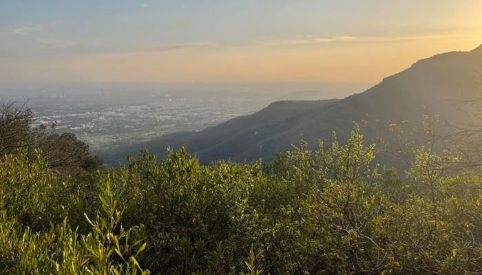 A general view of the Margalla Hills Islamabad can be seen in this image. — Facebook/Islamabad Wildlife Management Board - IWMB/File