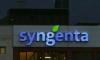 Syngenta to provide free heribicide to 15,000 farmers in Sindh