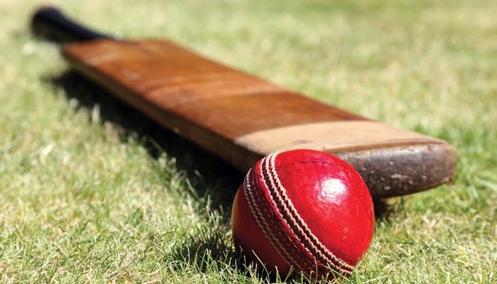 This representational image shows a kookaburra ball and a cricket bat. — APP/File