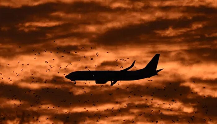 An airplane and birds fly at sunset in Washington, DC, on December 7, 2023. — AFP