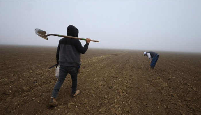 Farmers working in their field in United States. — AFP/File