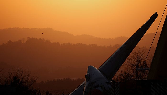 A bird flies by as the sun rises behind the aircraft that crashed after it went off the runway, at Muan International Airport, in Muan, South Korea, December 31, 2024. — Reuters