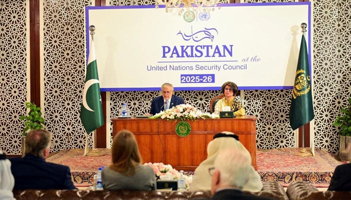 Deputy PM and FM Senator Ishaq Dar delivers remarks to mark the beginning of Pakistans term as a non-permanent member of the UNSC for the years 2025-2026 at a reception hosted for Islamabad based envoys at Ministry of Foreign Affairs on January 1, 2025.— PID