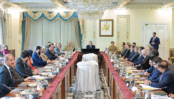 Prime Minister Muhammad Shehbaz Sharif chairs 11th Meeting of the Apex Committee of Special Investment Facilitation Council, in the Federal Capital on January 1,2025. —ONLINE