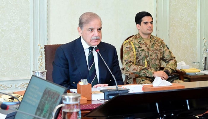 Prime Minister Shehbaz Sharif chairs a meeting of the central apex committee of the National Action Plan (NAP) on January 3, 2025. — PID