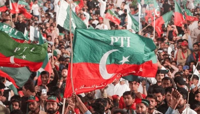 A crowd of PTI supporters wave the partys flag. — Facebook@PTI/File