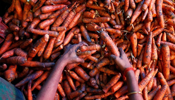 A worker sorts carrots at a wholesale vegetable market in Mumbai, India, June 14, 2016. — Reuters