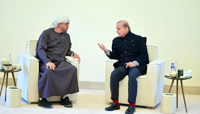 Prime Minister Muhammad Shehbaz Sharif (left) meets the President of UAE, His Highness Sheikh Mohammad bin Zayed Al Nahyan, in Rahim Yar Khan, on January 5 2025. — PID