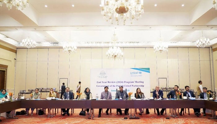 An image from the year-end review meeting of P&D Board and UNICEF in Lahore on January 8, 2025.— Facebook@PnDBPb