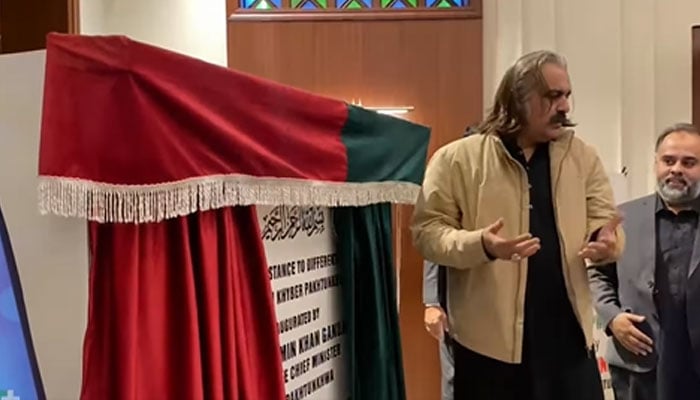 Chief Minister Ali Amin Gandapur launching a programme at a ceremony held at the Chief Minister’s House on January 8, 2025.— Facebook@AliAminKhanGandapurPti