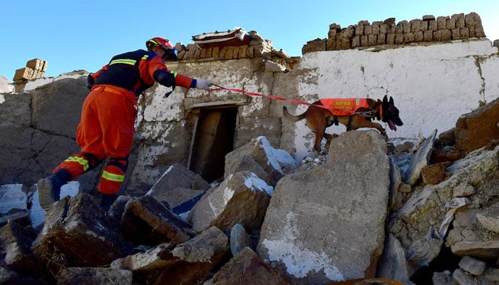 A rescue worker with the help of sniffer dog searching for the people under debris in China. — Reuters/File