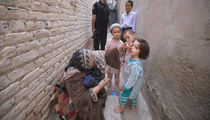 An anti-polio campaigner administering polio drops to children at Warsak road during an anti-polio vaccination campaign in Peshawar on September 9, 2024. — APP