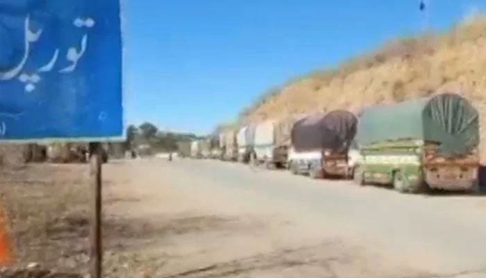 The representational image shows a convoy of trucks loaded with essential goods. — Screengrab Via YouTube/Geo News/File