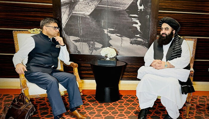 India’s Foreign Secretary Vikram Misri meeting acting Taliban Foreign Minister Amir Khan Muttaqi in Dubai on January 8, 2025. — X@HafizZiaAhmad