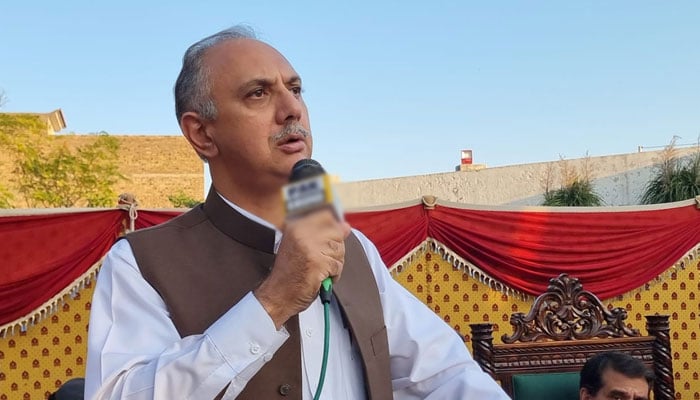 PTI leader and Opposition Leader Omar Ayub Khan speaks at a gathering on November 20, 2024. — Facebook@OmarAyubKhan.Official