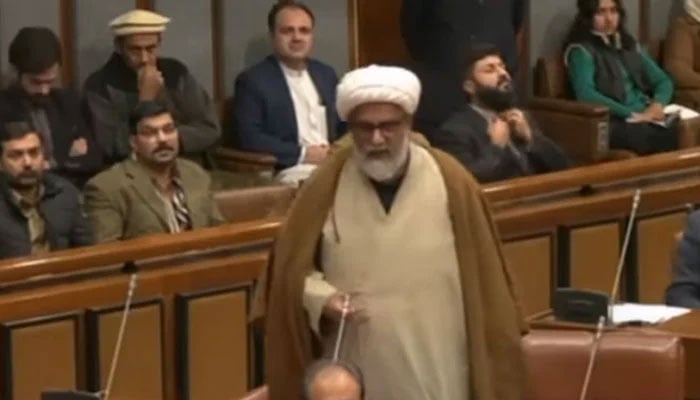 Majlis Wahdat-e-Muslimeen (MWM) Senator Allama Raja Nasir Abbas Jafari addressing the senate. — Senate TV/File