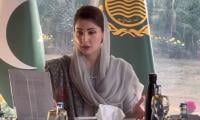 Apni Chhat, Apna Ghar programme: Maryam sets target of giving 40,000 loans by May 2025