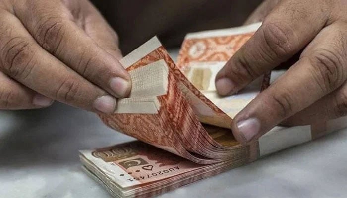 This image shows a person counting Pakistani currency notes. — AFP/File