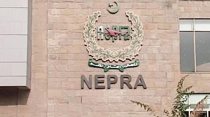 Nepra salary hike sparks debate in Senate panel