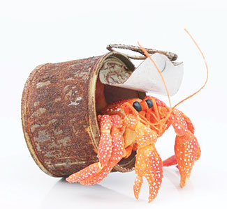 Paper artistry: revealing the beauty and plight of ocean life